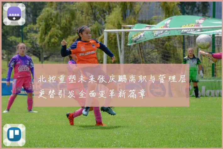 北控重塑未来张庆鹏离职与管理层更替引发全面变革新篇章